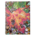 Leaf notebook notebooks