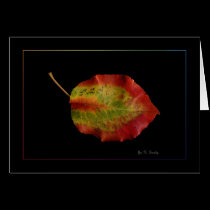 Leaf on Black cards