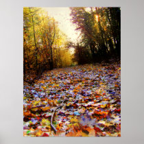 Leaf Path Print posters