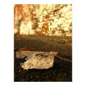 Leaf posters by MarkNijland Leaf posters