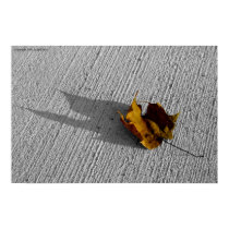 Leaf posters by JoeMay Leaf posters