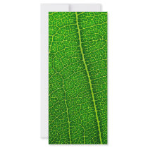 Leaf Personalized Rack Card