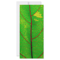 Leaf rack cards