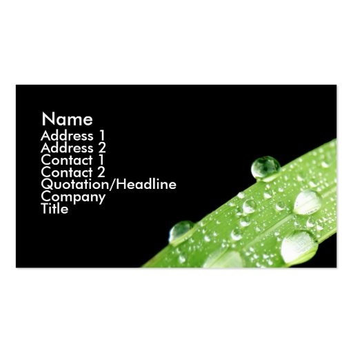 Leaf Rain Drops Business Card (front side)