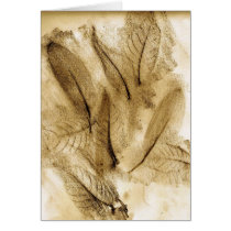 leaf rubbings cards by diosaperdida leaf rubbings cards