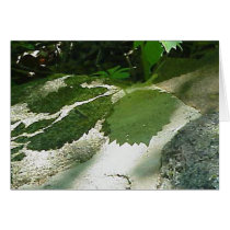 Leaf shadows card by serenity_ii Leaf shadows card