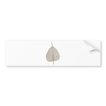 leaf sheet tree tree nature forest forest leaves bumper sticker