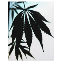 Leaf Silhouette letterhead by RationalReform Leaf Silhouette letterhead