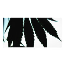 Leaf Silhouette photo cards by RationalReform Leaf Silhouette photo cards