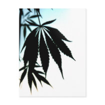 Leaf Silhouette postcards by RationalReform Leaf Silhouette postcards
