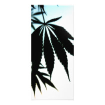 Leaf Silhouette rack cards