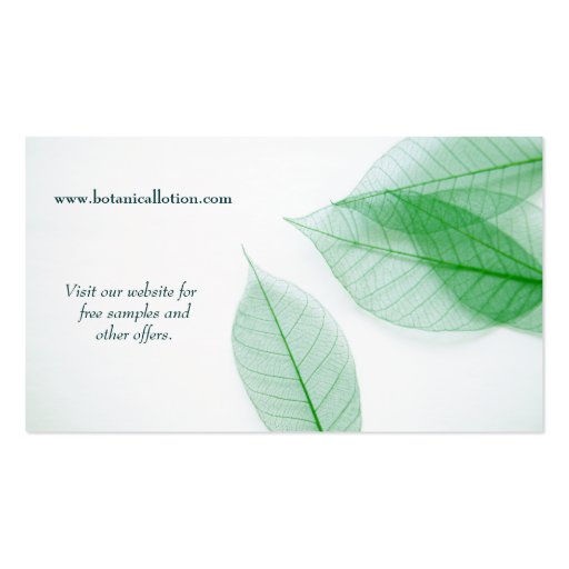 Leaf skeletons on white business card (back side)