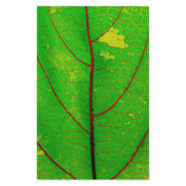 Leaf Stationery Paper