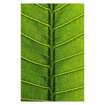 Leaf stationery by dinatemraz Leaf stationery
