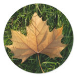 Leaf Round Stickers