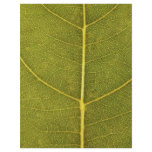 leaf texture flyers