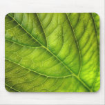 leaf texture mouse pads