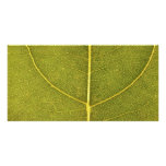 leaf texture personalized photo card