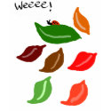 Leaf Traveler T-Shirt