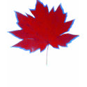 Leaf t-shirts