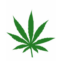 Leaf t-shirts