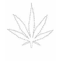 Leaf t-shirts
