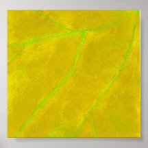 Leaf Veins - Closeup Poster