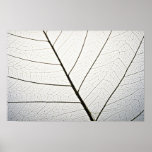Leaf veins texture print