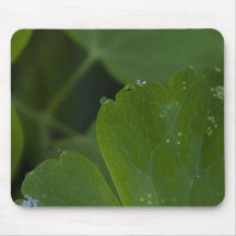 leaf-with-dew-and-spots-2012-05-26 mousepad