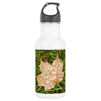 dew drop water bottle