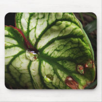 Leaf with Rain Drops Mousepad