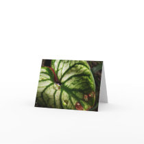Leaf with Rain Drops Note Card