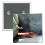 Leafable Button
