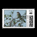 leafbranchesbird1 stamps