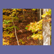 Leafy Floor posters
