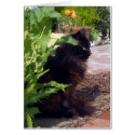 Leafy Madeleine Card