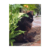 Leafy Madeleine Postcard