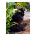 Leafy Madeleine Poster posters