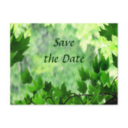 Leafy Save the Date Wedding postcard