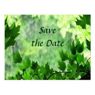 Leafy Save the Date Wedding Postcard