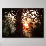 Leafy Secrets Print
