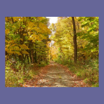 Leafy Trail posters