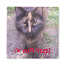 LEALO SAYS ... I'M OUTA HERE! magnets