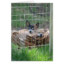 Lean On Me cards