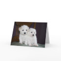 Lean on me cards