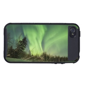 Leaning Spruce Aurora iPhone 4/4S Cover