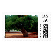 Leaning Tree postage by Barbelle156 Leaning Tree postage