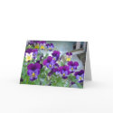 LeAnn's Violets Card by LorrieM LeAnn's Violets Card