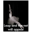 Leap and the net will appear t-shirts