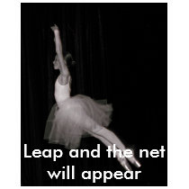 Leap and the net will appear t-shirts